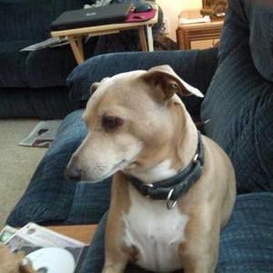 Meet your Posher, Sue